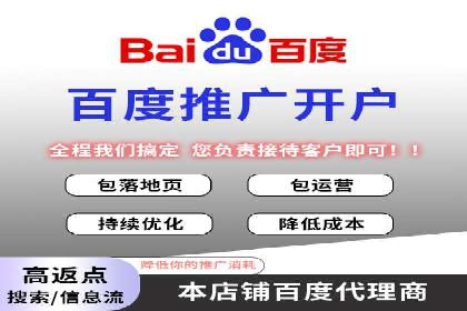 网络推广竞价策略解析与应用案例